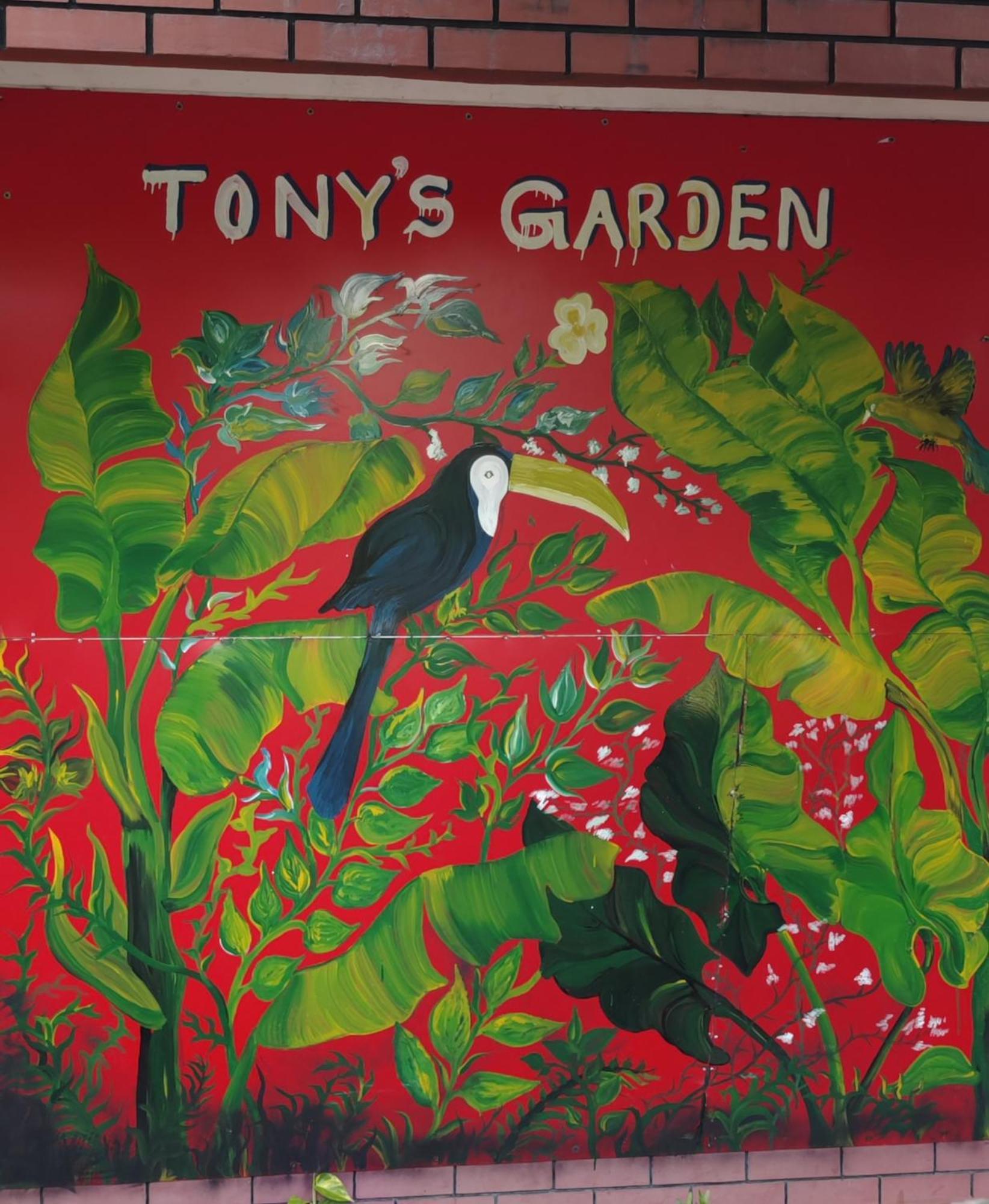 Tony'S Garden House Back Packers Inn Джафна Экстерьер фото